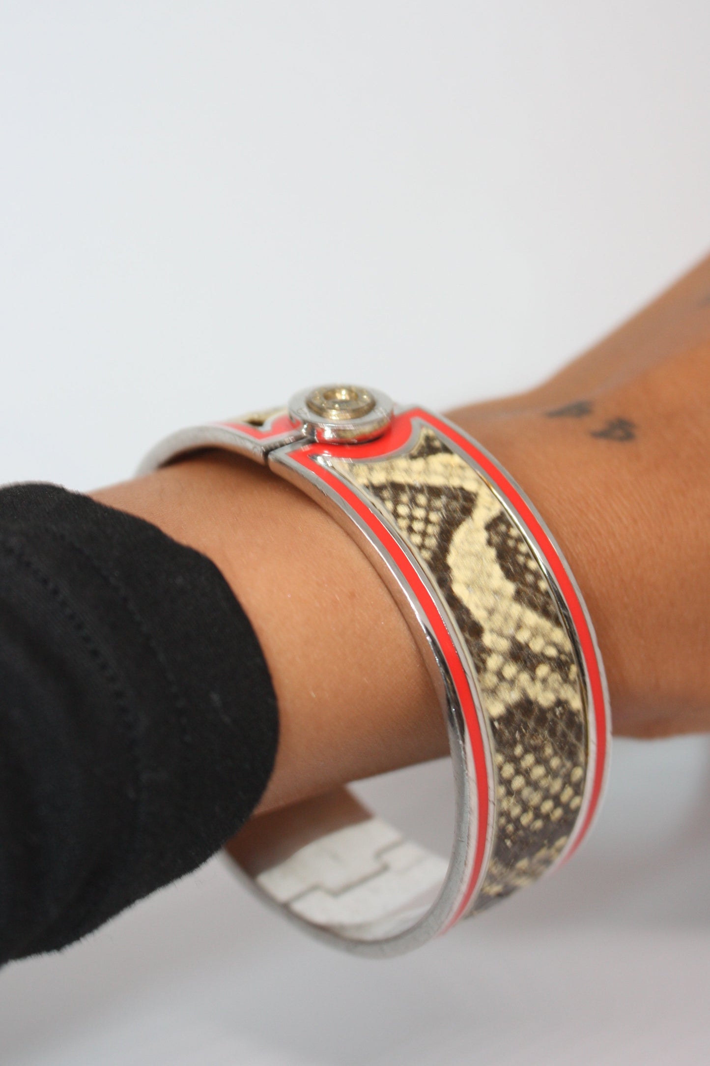 Scarlet Snake