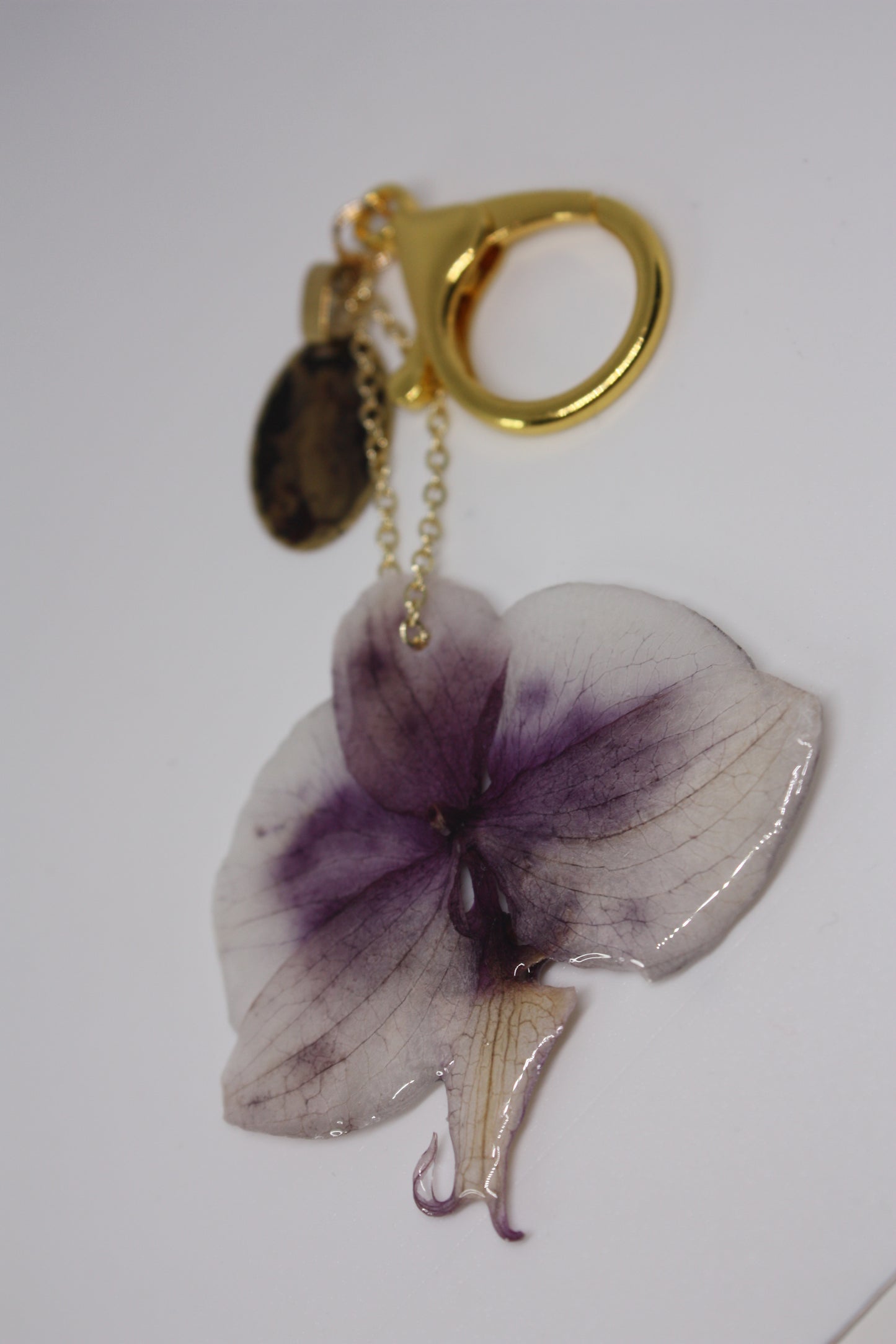 Faded Violet