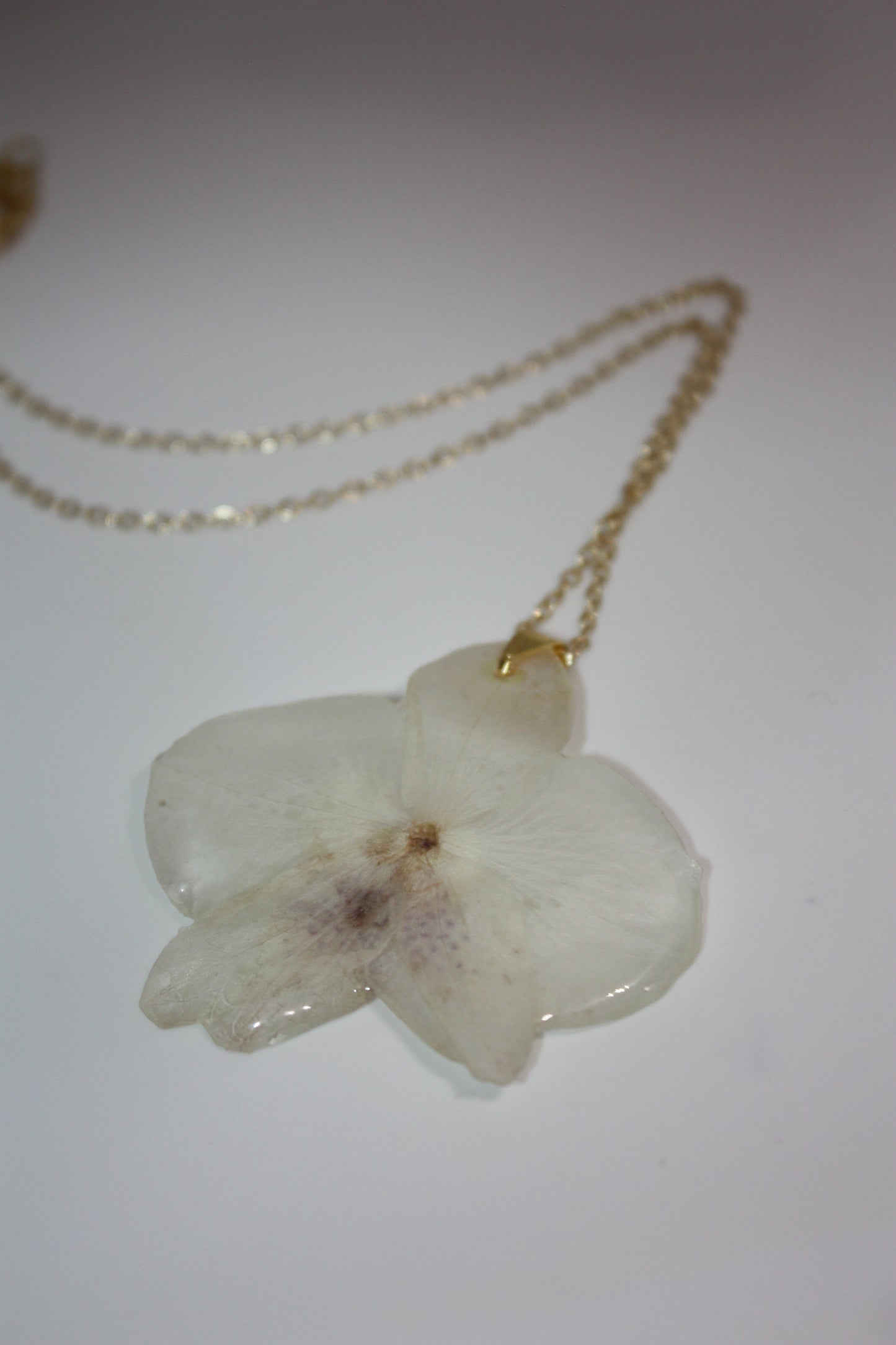Ghost Orchid