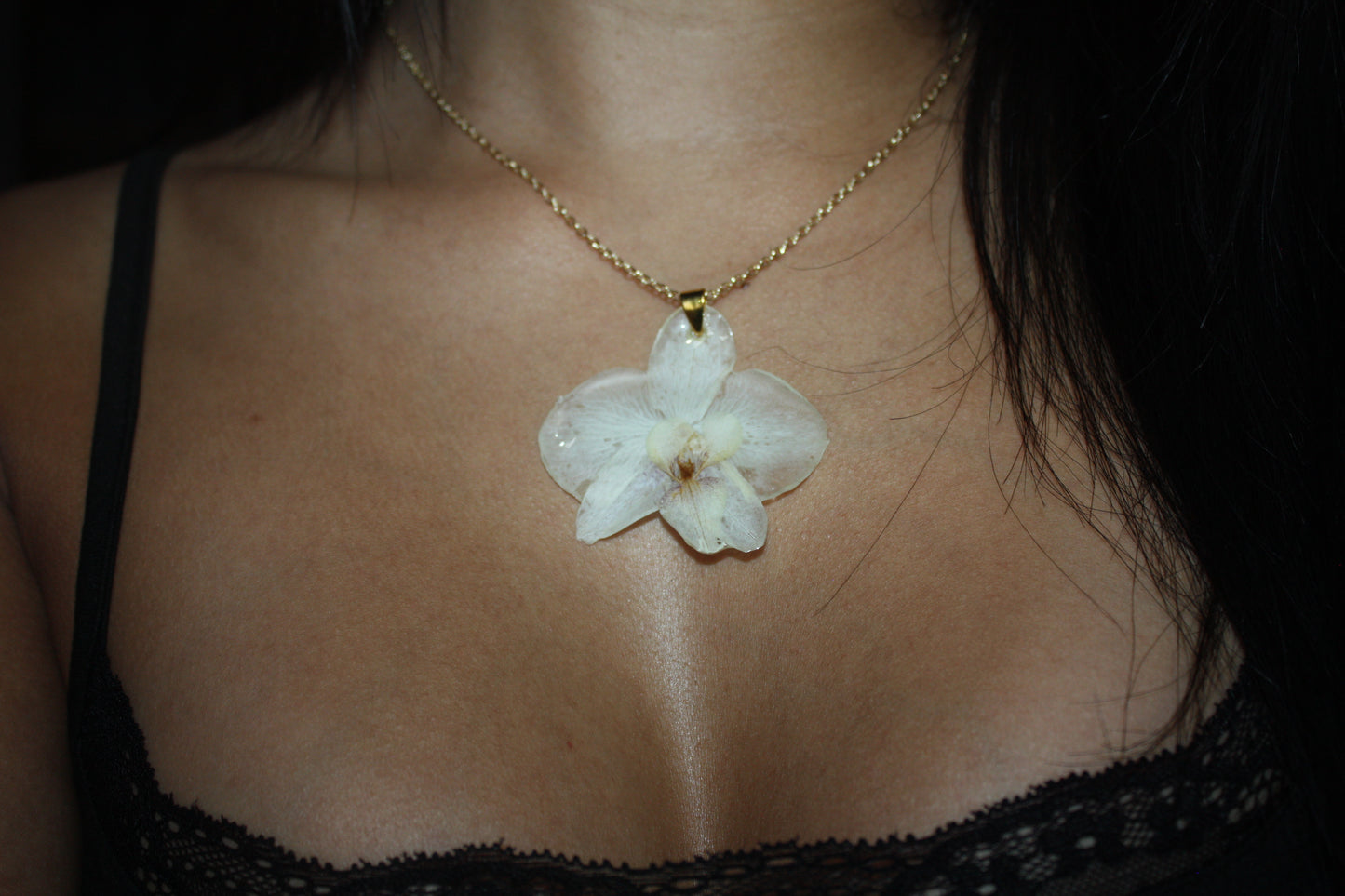 Ghost Orchid