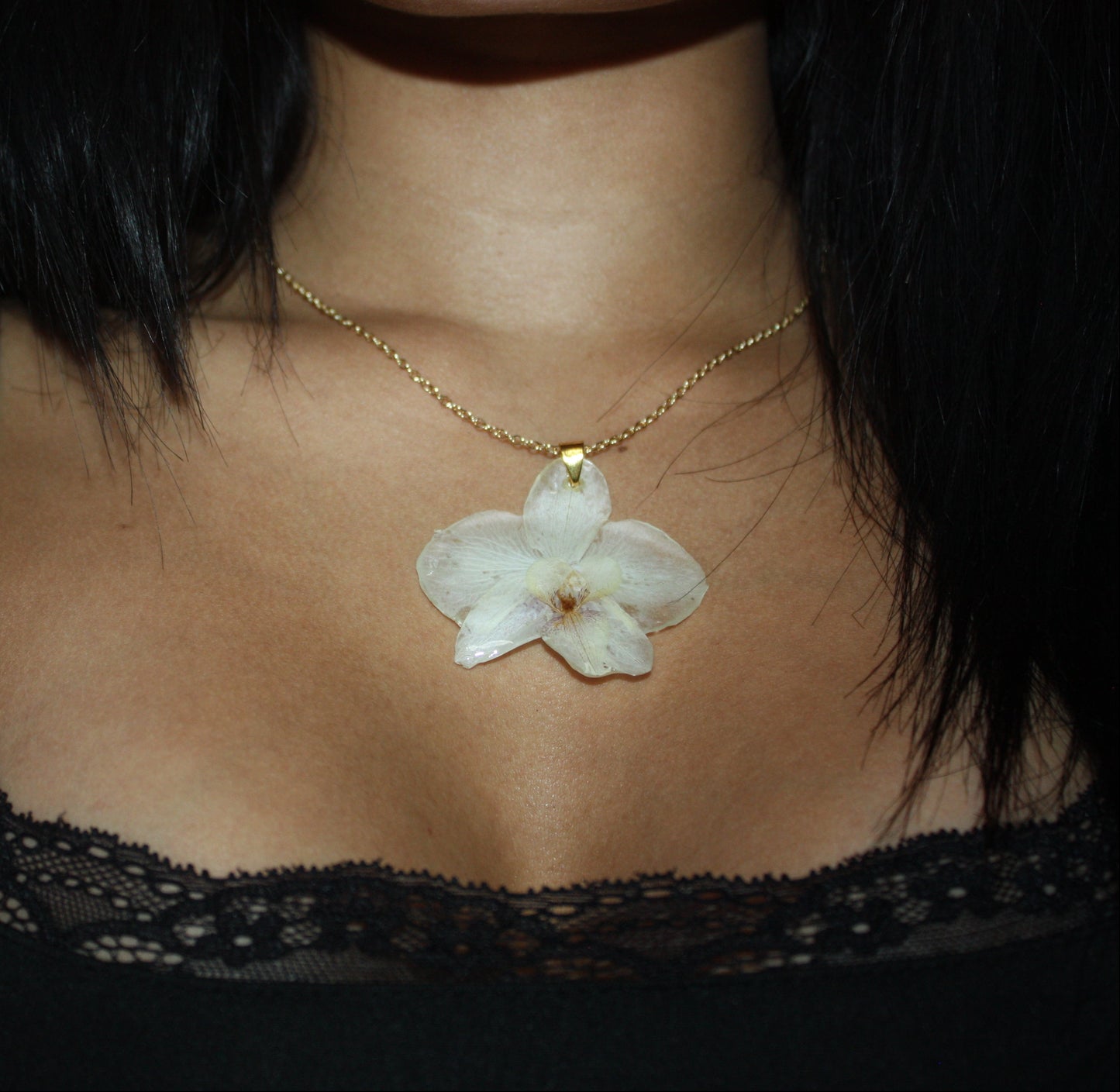 Ghost Orchid
