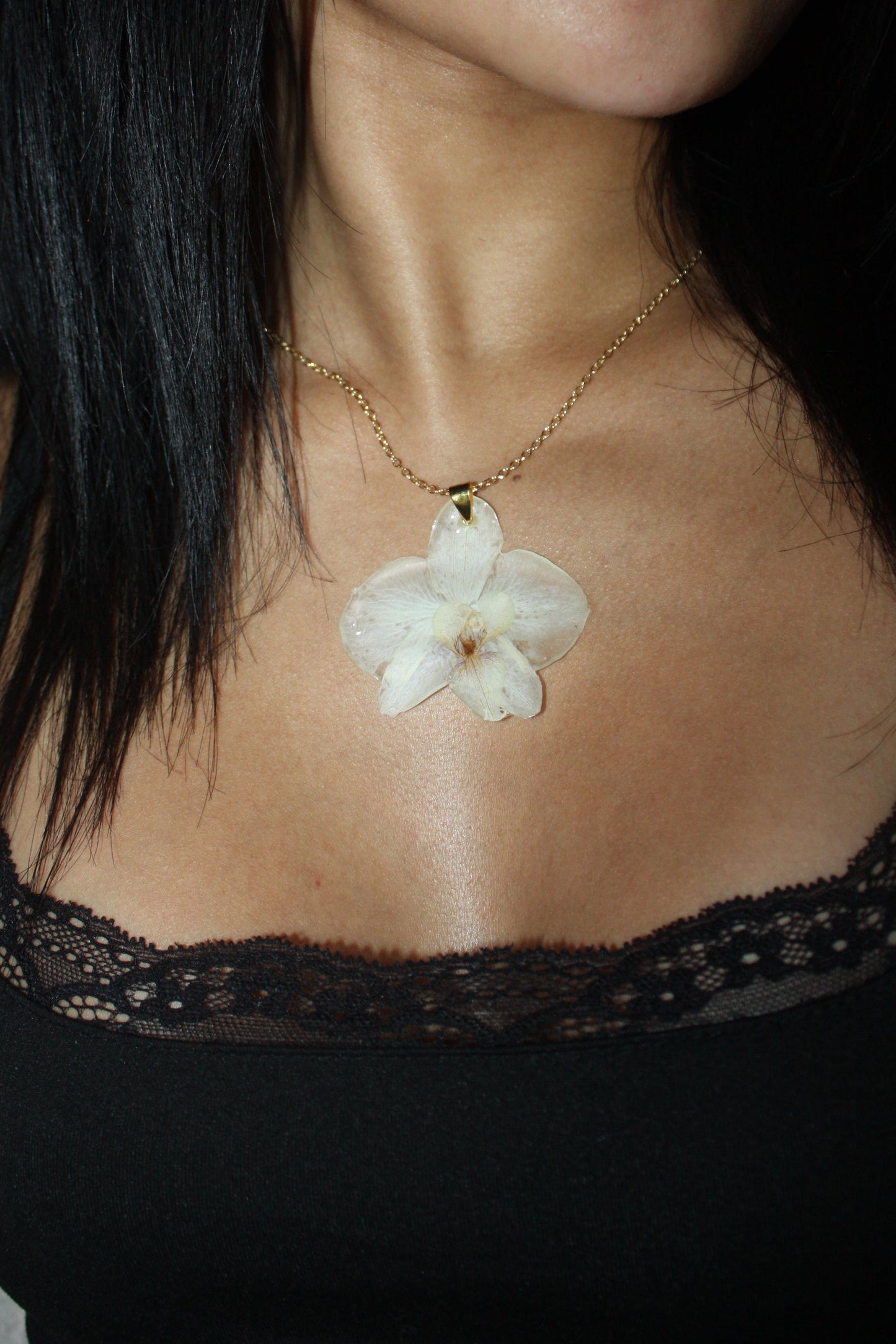 Ghost Orchid