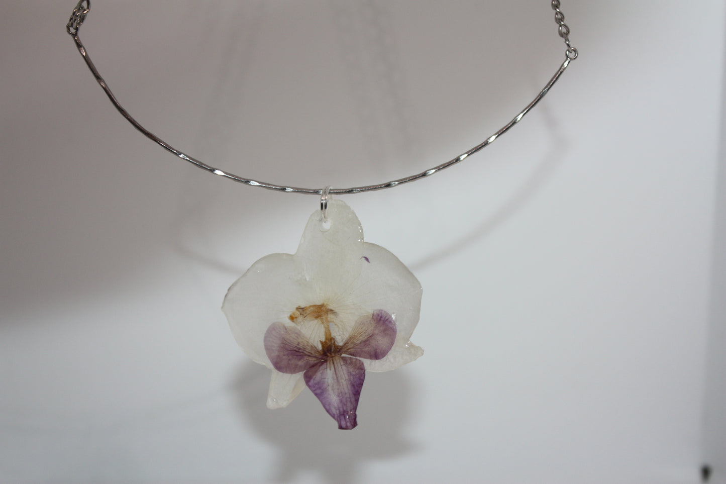 Black Orchid