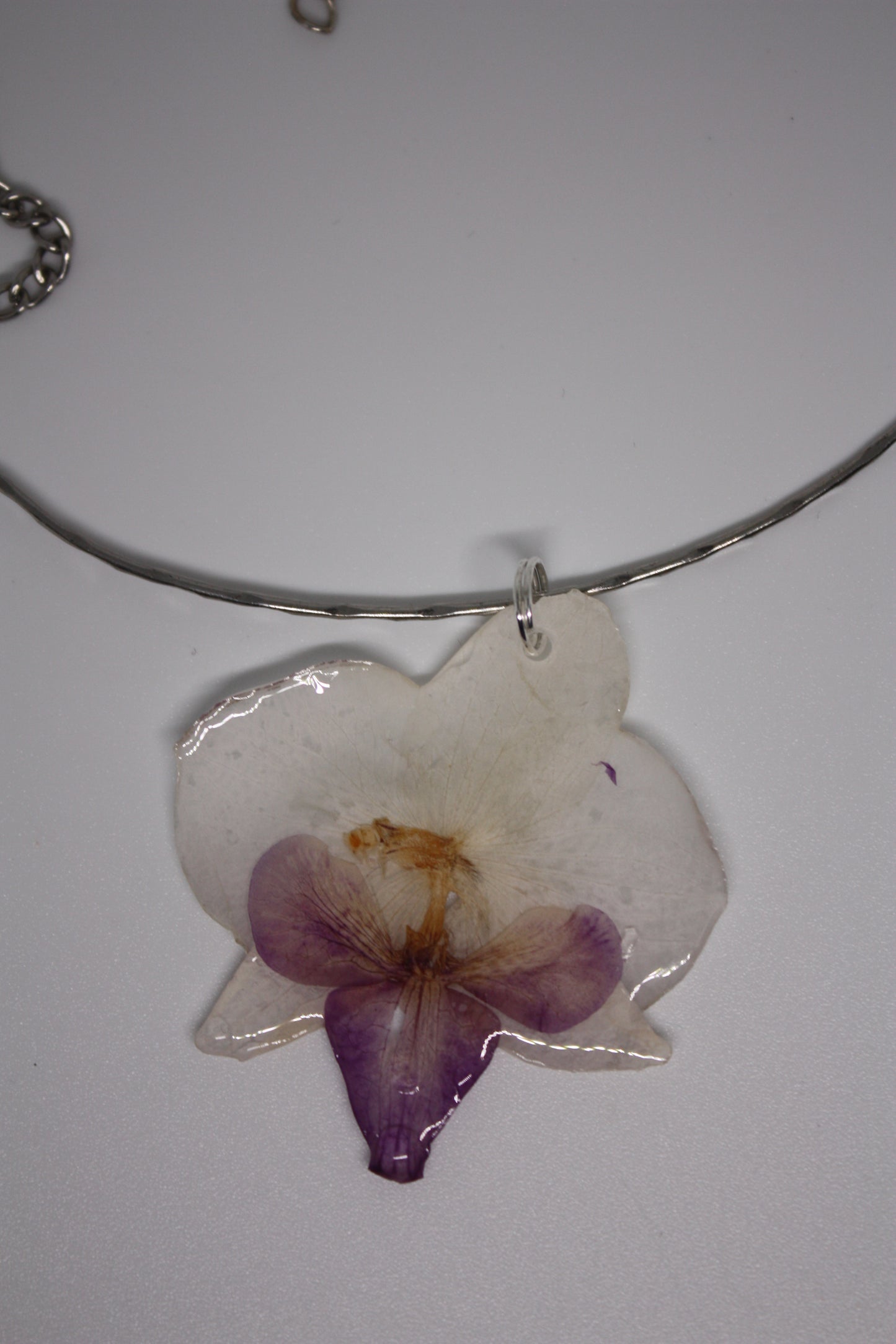 Black Orchid